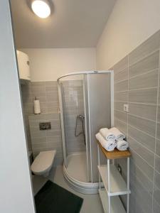 a bathroom with a shower and a toilet at Apartments Mali Ivo in Nin