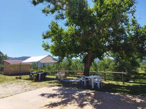 ein Baum mit zwei Tischen und ein Zelt darunter in der Unterkunft Albergue Valle de Tobalina in Quintana-Martín Galíndez