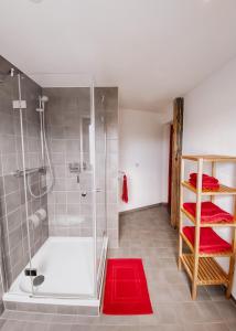 a bathroom with a shower and a bath tub at Hotel Am Rittergut in Frankenberg