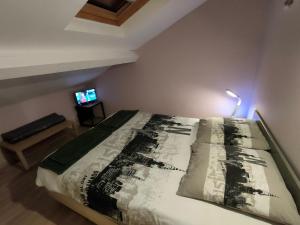 1 dormitorio con 1 cama con lámpara y TV en L'Escale VICHY en Vichy