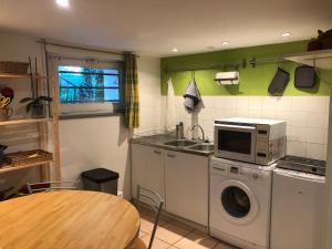 een keuken met een wasmachine en een magnetron bij Au Cynorrhodon in Villeurbanne
