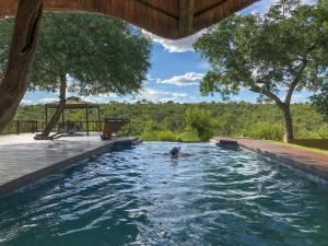 - une personne se baignant dans une piscine dans l'établissement Muweti Bush Lodge, à Grietjie Game Reserve
