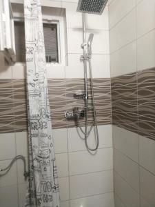 een douche met een douchegordijn in de badkamer bij Apartment Smoljanac 12345c in Smoljanac