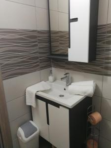 een badkamer met een wastafel, een toilet en een spiegel bij Apartment Smoljanac 12345c in Smoljanac