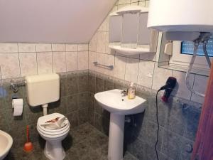 Kúpeľňa v ubytovaní Apartment Smoljanac 14979a