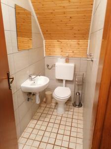 a small bathroom with a toilet and a sink at Apartments with a parking space Smoljanac, Plitvice - 14979 in Smoljanac