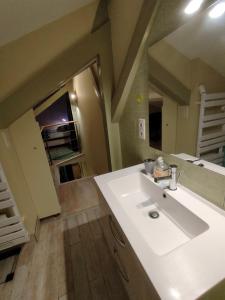 La salle de bains est pourvue d'un lavabo blanc et d'un miroir. dans l'établissement L'Escale VICHY, à Vichy