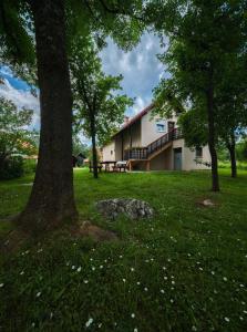 a tree in the grass next to a building at Apartment Smoljanac 14979b in Smoljanac
