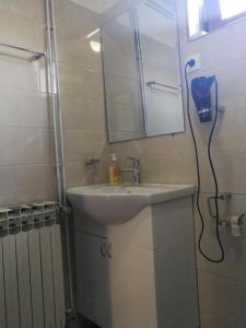 a bathroom with a sink and a mirror and a shower at Apartment Smoljanac 14979b in Smoljanac