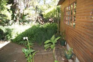 a garden with plants next to a wooden wall at Fern Cottage in Louis Trichardt