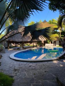 a swimming pool in a resort with a palm tree at Lote 44 Guesthouse in El Zonte