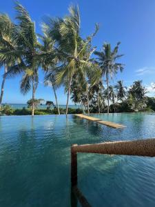 a infinity pool with palm trees and the ocean at Buckingham Place in Tangalle