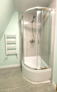 um chuveiro com uma porta de vidro na casa de banho em Główna Apartamenty Nad Nogatem em Malbork