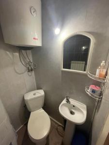 ヤブルニツァにあるMini Cottageの小さなバスルーム(トイレ、シンク付)