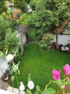 Zahrada ubytování HOUSE SUITES DOMAINE + 37 fotografií