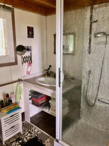 La salle de bains est pourvue d'une douche et d'un lavabo. dans l'établissement La cabane des coteaux, à Gan