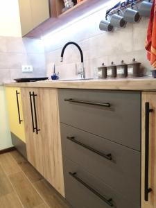 una cucina con lavandino e piano di lavoro di NIKAS Apartman a Donji Milanovac