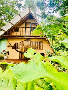 uma casa na selva com uma grande planta verde em Finca Ecológica El Maco em San Agustín