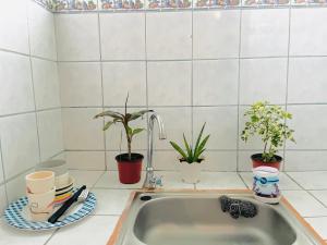 un lavello da cucina con piante e tazze su un bancone di The Cabin byTERBAIKhome a Città di Puerto Princesa