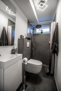 een badkamer met een toilet, een wastafel en een douche bij Exklusive Neubau Wohnung im Luftkurort Buchholz in Buchholz in der Nordheide