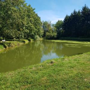 une rivière avec de l'herbe et des arbres dans un champ dans l'établissement Sur la route de champ colin, à Saint-Denis-lès-Rebais