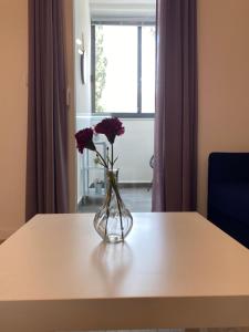 Fotografie z fotogalerie ubytování Apartments Ena v destinaci Kaštela