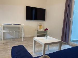 TV a/nebo společenská místnost v ubytování Apartments Ena
