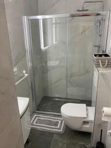 Koupelna v ubytování Apartments Ena