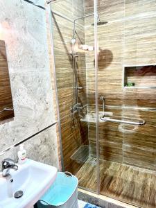 a bathroom with a shower and a sink at Integral Consults Apartment in Abuja