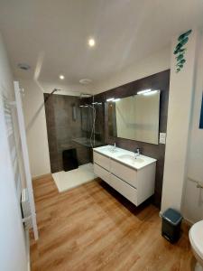 a bathroom with a white sink and a shower at La Belle Vie en Alaric in Douzens