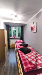 sypialnia z 2 łóżkami pojedynczymi w obiekcie Wisienka w mieście Duszniki Zdrój