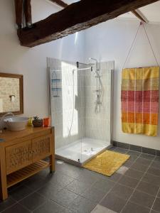 y baño con ducha y lavamanos. en Naturo-gites en Nieul-le-Virouil