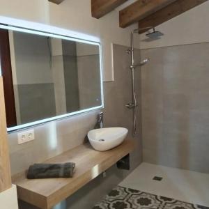 a bathroom with a sink and a mirror at El Niu de l'Estany in Ivars d'Urgell