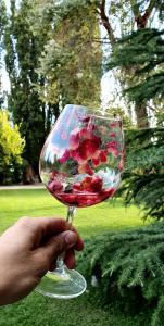 a person holding a glass of wine in a park at La Bignonia Posada in Chacras de Coria