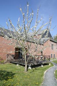 a flowering tree in front of a brick building at Gîtes du Grand Bois in Maubeuge