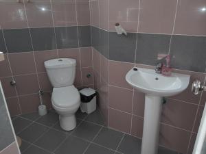 Pousada Rural Simpatia في Caculi: حمام مع مرحاض ومغسلة