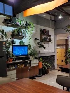 um quarto com uma televisão e plantas numa parede em SEMERU HOSTEL MALANG em Malang