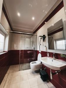 uma casa de banho com um lavatório, um WC e um espelho. em Amansar Boutique Hotel em Tirana