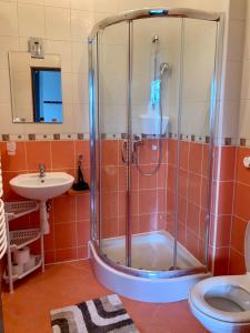 a bathroom with a shower and a sink at Pokoje Gościnne U Wioli in Zakopane