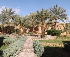 a garden with palm trees and a walk way at AUBERGE DES ANGES in Zrigat