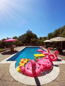 a pool with pink inflatable flamingos and inflatable rafts at The Farm Exclusive Hire in Stapleford Tawney
