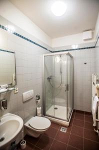 a bathroom with a shower and a toilet and a sink at Opitzův dům in Prague