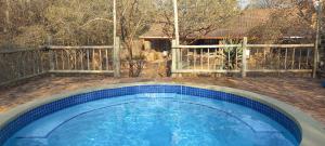 a swimming pool in a yard with a fence at Nature Rest in Marloth Park