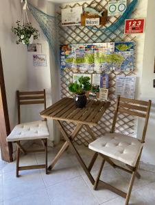a wooden table and two chairs with a plant on it at Islander House on Rocky Cay Beach in San Andrés