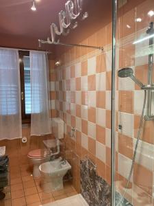 La salle de bains est pourvue de toilettes et d'une douche en verre. dans l'établissement The Loft E&E Cinecittà, à Empoli