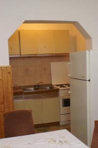 a kitchen with a white refrigerator and a sink at Apartment Metajna 525d in Zubovići