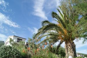 Zahrada ubytování Apartments by the sea Zavala, Hvar - 553