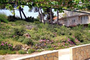Vonkajšia záhrada v ubytovaní Apartments by the sea Basina, Hvar - 542