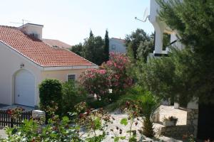 Zahrada ubytování Apartments by the sea Mandre, Pag - 523