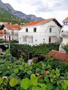 Výhľad na hory alebo výhľad na hory priamo z apartmánu